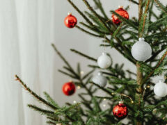 Wie Gärtner Weihnachtsbäume für Garten und Tiere wiederverwenden